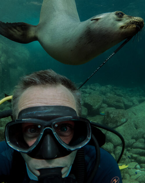 Galapagos Islands diving sea lion 3072 × 4608